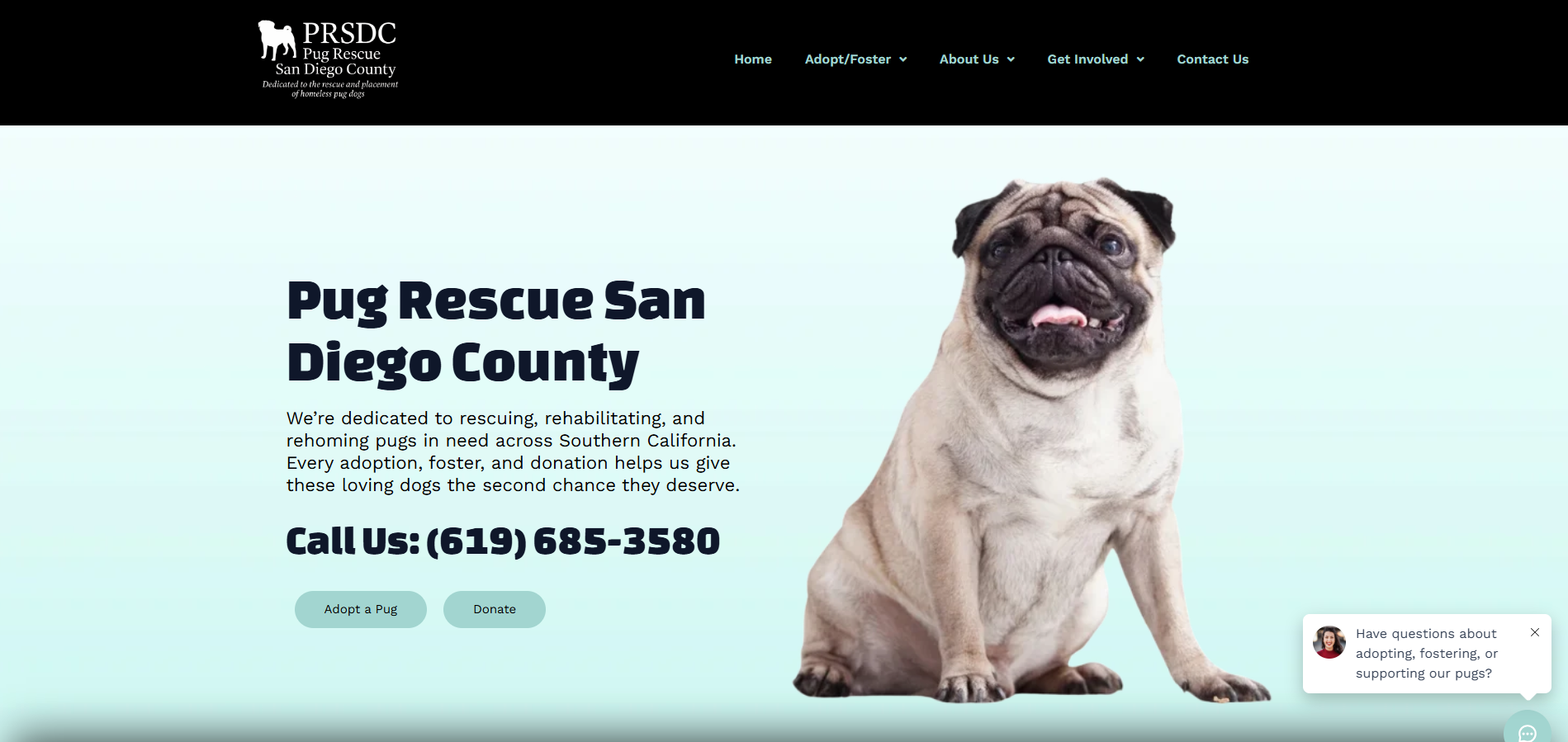 Pug Rescue